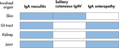 Gastrointestinal manifestations and pathogenesis in childhood immunoglobulin A vasculitis